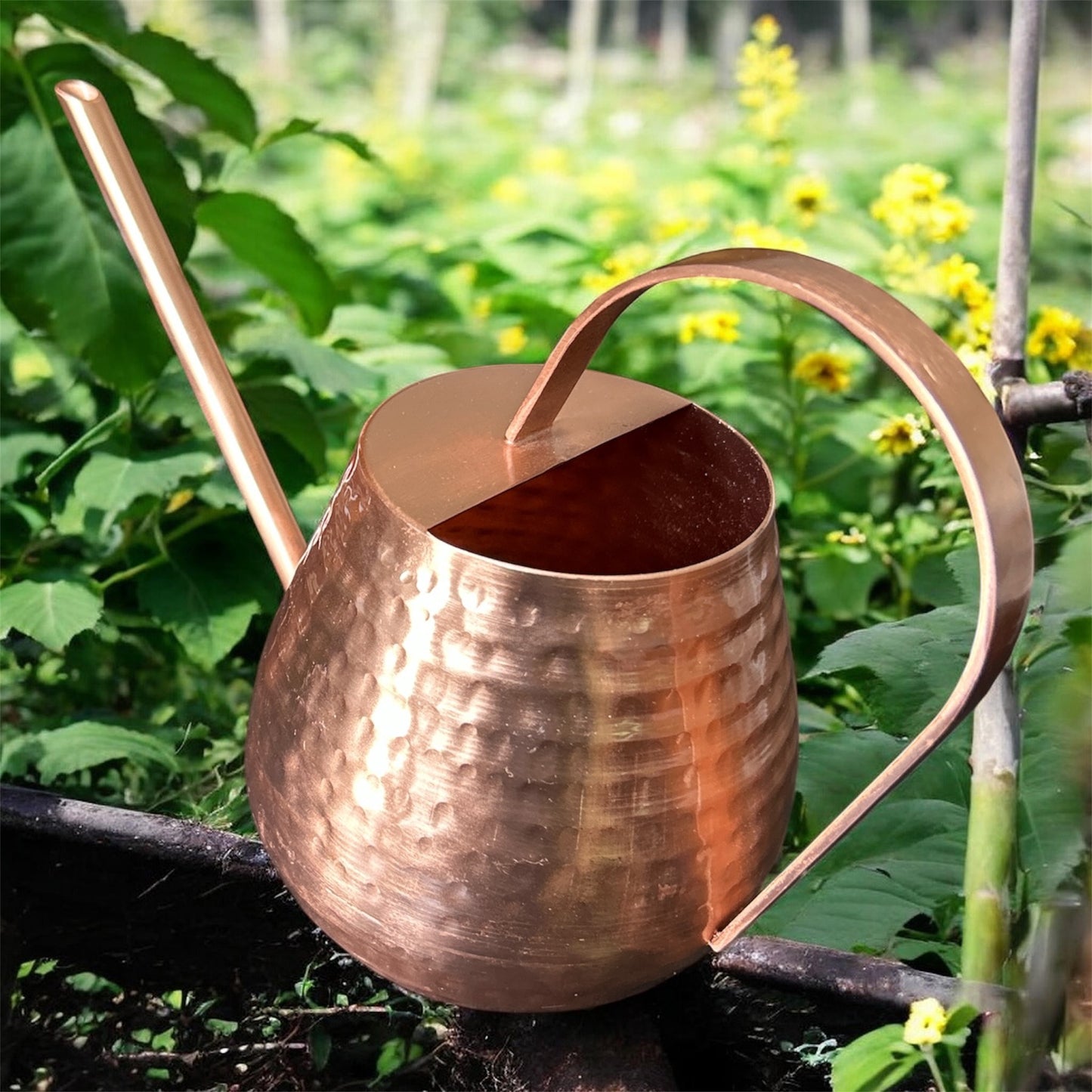 Watering Can