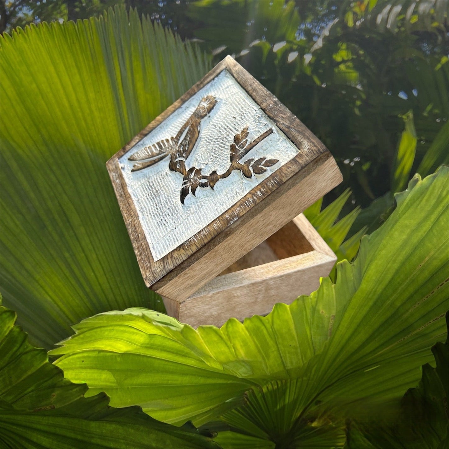 Humming Bird Box