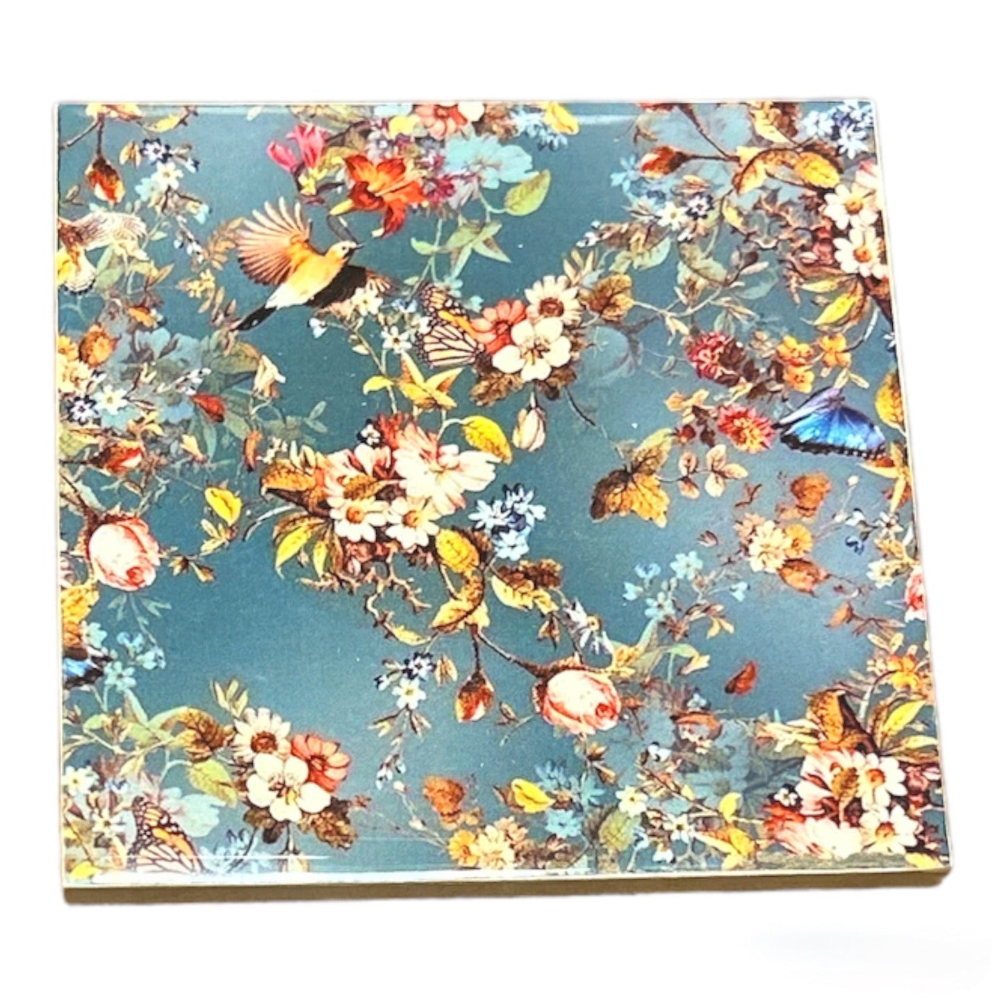 Coaster - Square - Set of 6