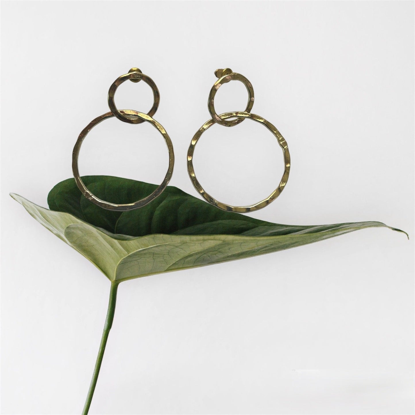 Double Hoop Earrings