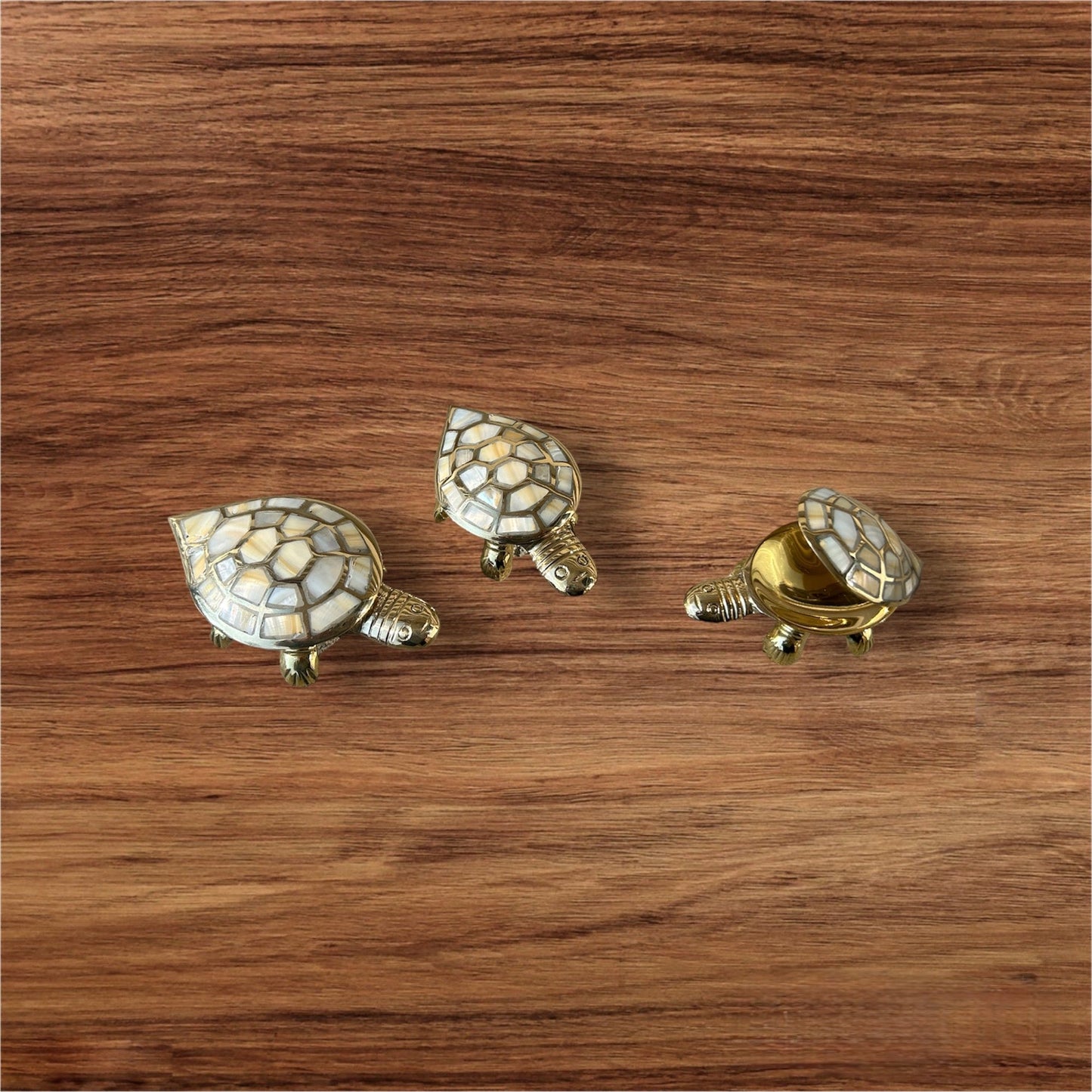 Turtle Box