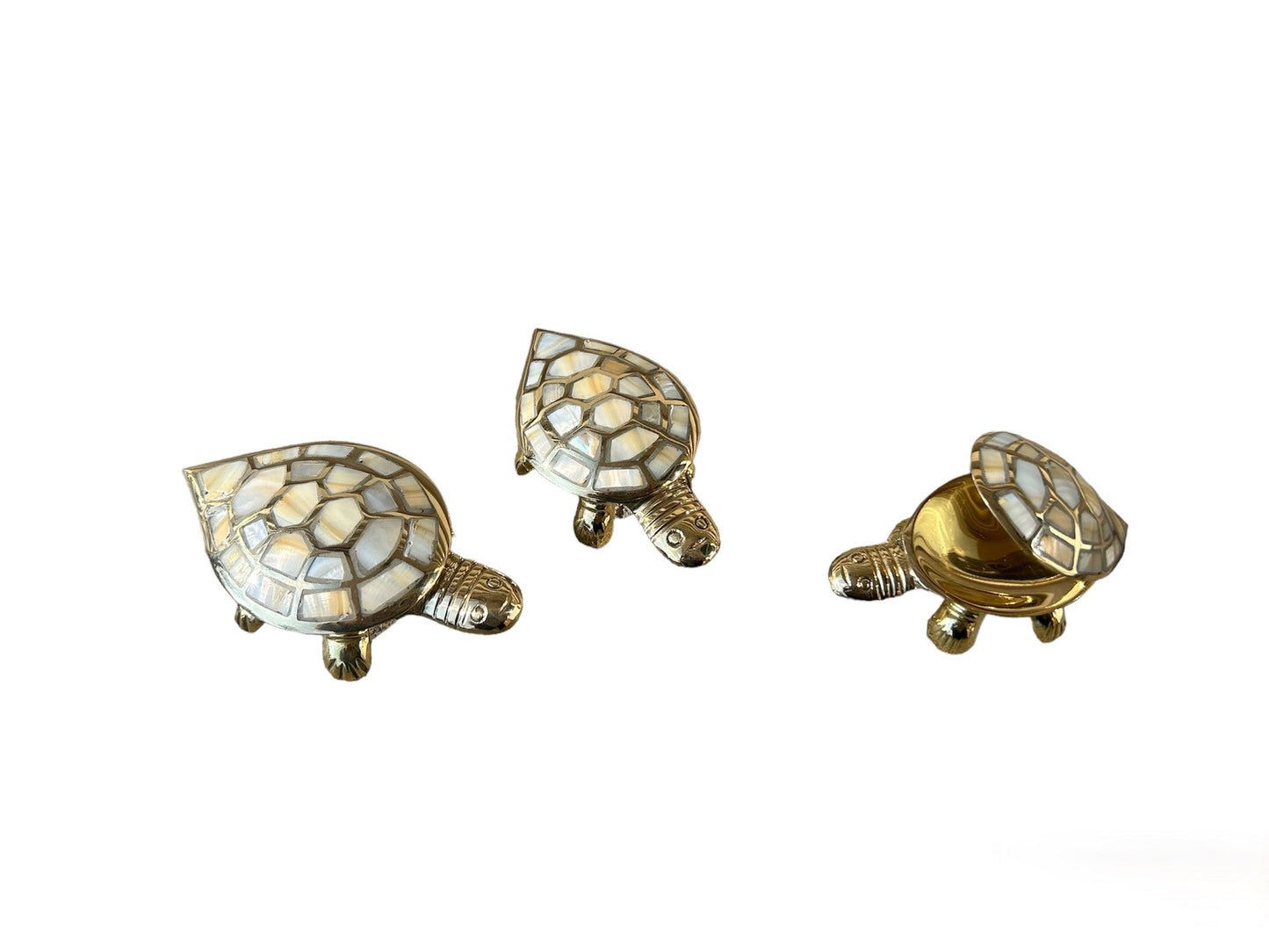 Turtle Box