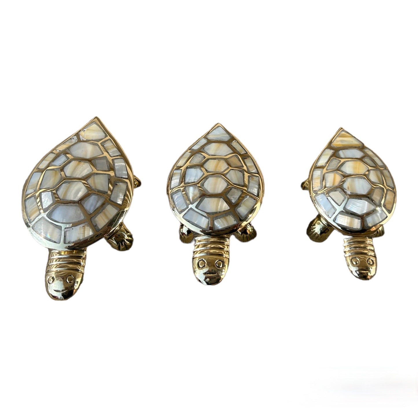Turtle Box