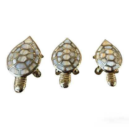 Turtle Box