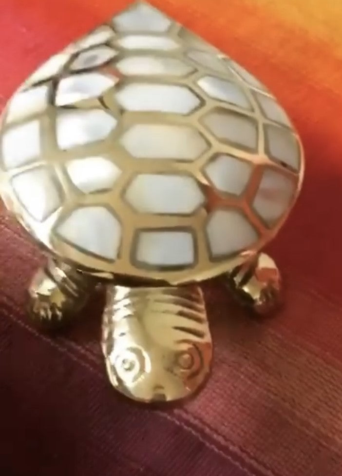 Turtle Box