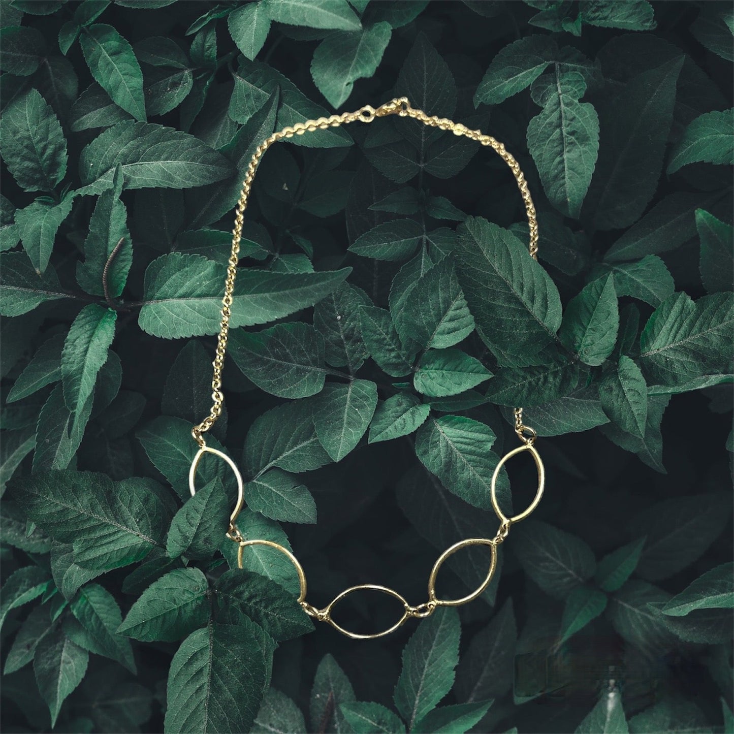Aanya Necklace